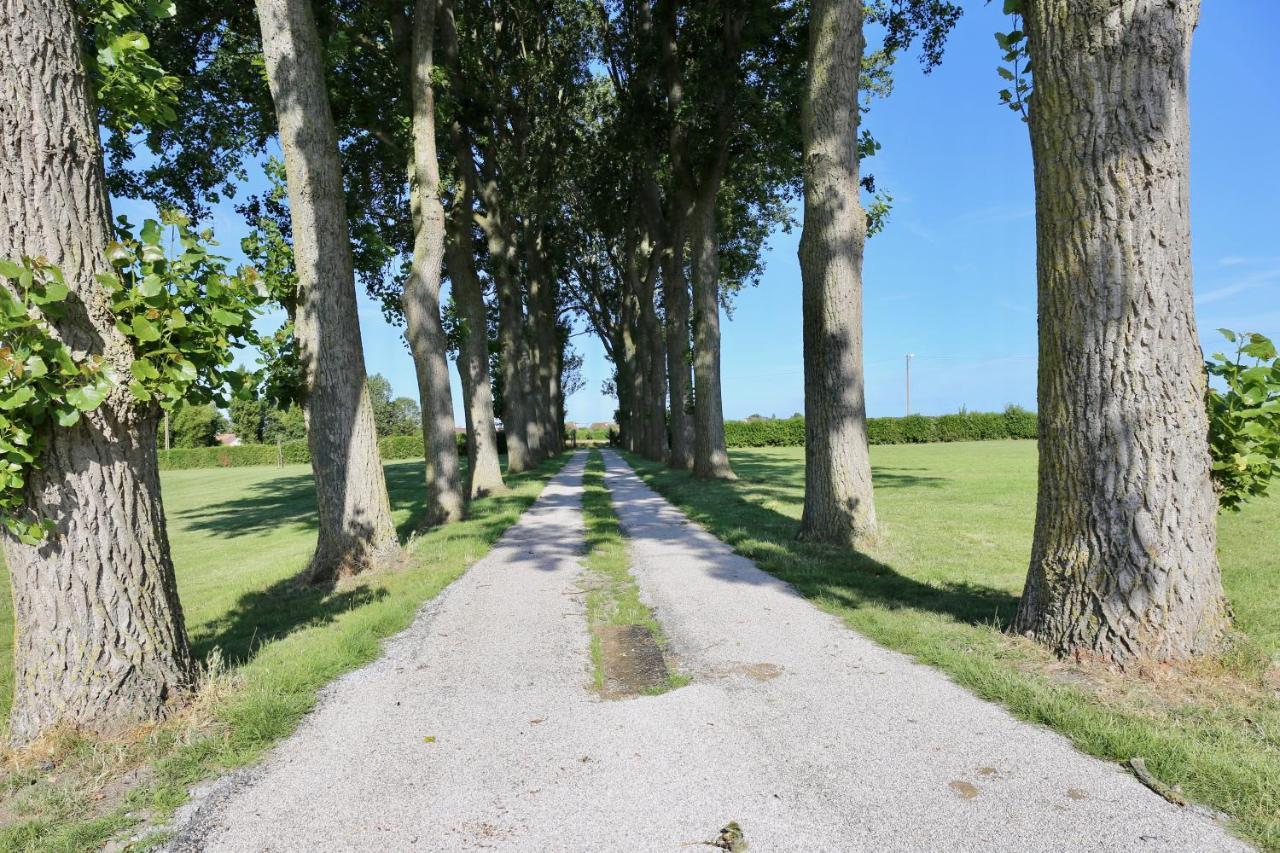 La Grange Du Veld Pension Téteghem Buitenkant foto
